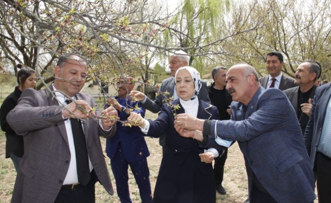 Çalışmalar Büyük Bir Titizlikle Sürdürülüyor