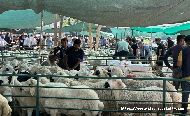 Bayramın İlk Gününde Kurban Pazarında Hareketlilik