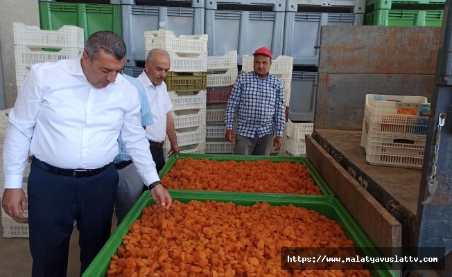 Malatya'da Lisanslı Depolar 2 Haftada Yaklaşık Bin 500 Ton Ürün Alımı Yaptı