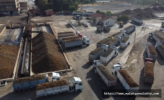 Şeker Fabrikası Bölge Ekonomisinin Lokomotifi Oluyor