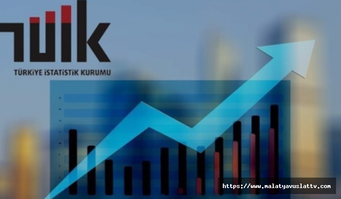 TÜİK 2023 Yılı Kazanç Yapısı İstatistiklerini Açıkladı