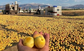 4 Nisan Dünya Malatyalılar Günü