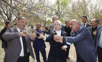 Çalışmalar Büyük Bir Titizlikle Sürdürülüyor