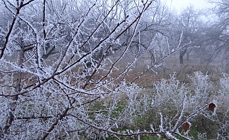 Malatya'da Kartpostallık Görüntüler