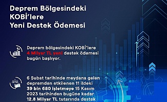 4 Milyar TL’lik Destek Ödemeleri Bugün Başlıyor