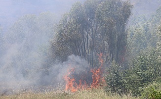 Elazığ’da Orman Yangınına Havadan Müdahale