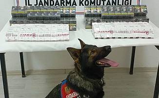 Jandarmadan Kaçak Sigara Operasyonu