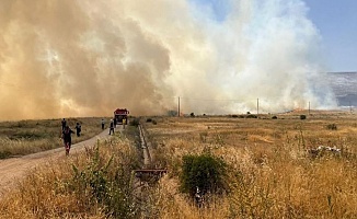 Malatya’da Korkutan Örtü Yangını