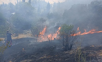 Darende'de Bahçelik Alanda Korkutan Yangın