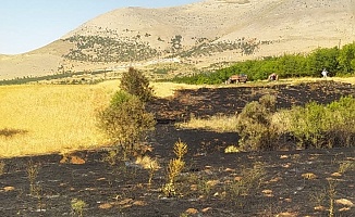 Doğanşehir’de Anız Yangını