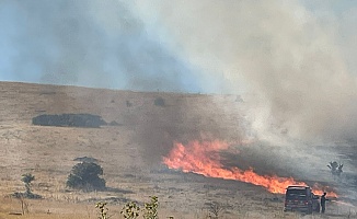 Malatya'da Bir Hektarlık Alanda Anız Yangını