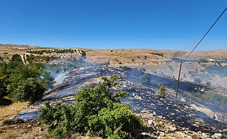 Malatya'da 3 Ayrı Noktada Ot Yangını