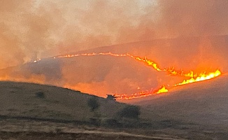 Malatya'da Yüzlerce Dönüm Alanda Anız Yangını