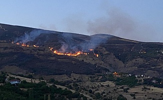 Malatya’daki Arazi Yangını Kontrol Altına Alındı