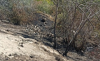 Darende’de Bahçe Yangını