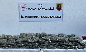 Malatya’da Uyuşturucu Operasyonu