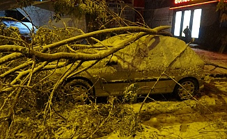 Kırılan Ağaç Dalları Araçların Üzerine Devrildi