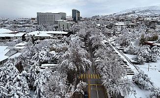 Kar Yağışı Sonrası Kış Manzaraları