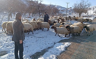 Küçükbaş Hayvan Yetiştiricilerinin Zorlu Kış Mesaisi