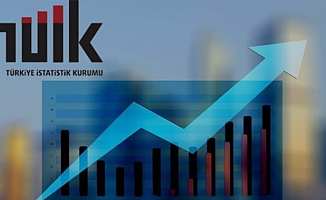 TÜİK 2023 Yılı Kazanç Yapısı İstatistiklerini Açıkladı