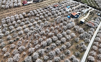 Malatya Beyaz Gelinliğini Giydi