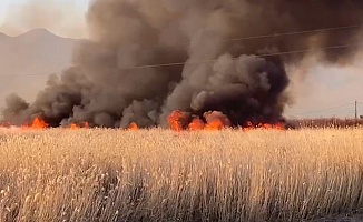 Malatya’da Onlarca Dönümlük Alanda Korkutan Yangın