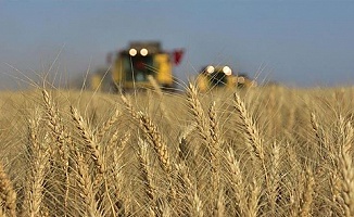 Türkiye, Tarımsal Hasılada Avrupa'da Lider