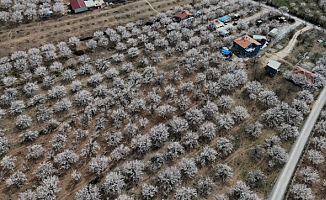 Üreticilerin Dikkatine! Malatya'da Sıcaklıklar Düşüyor