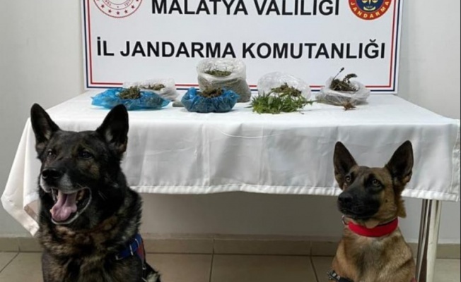 Uyuşturucuya Geçit Yok!