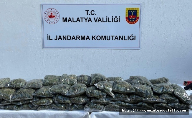 Malatyada Uyuşturucu Operasyonu